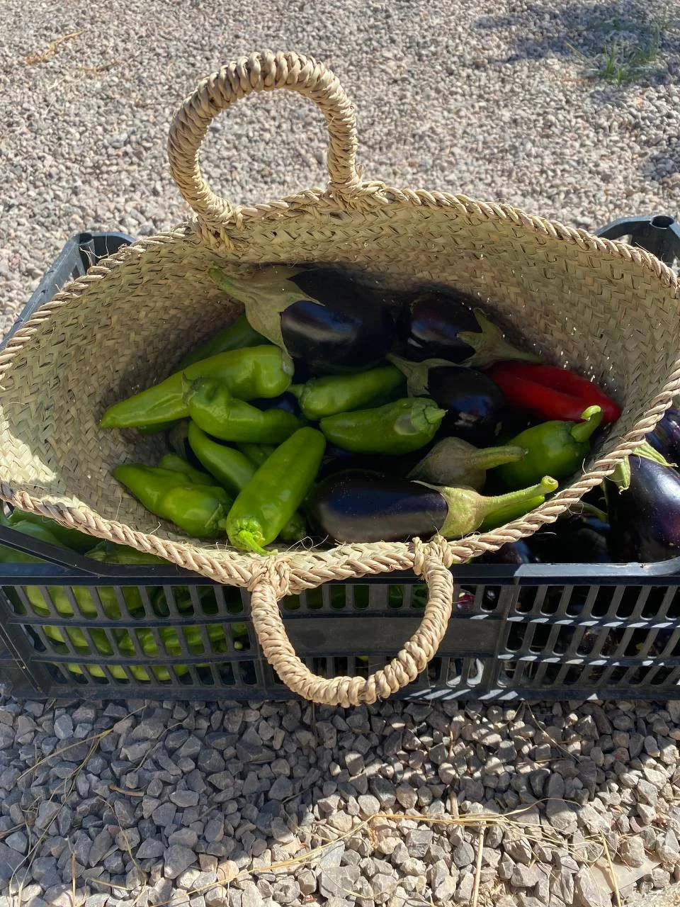 Fresh seasonal vegetables