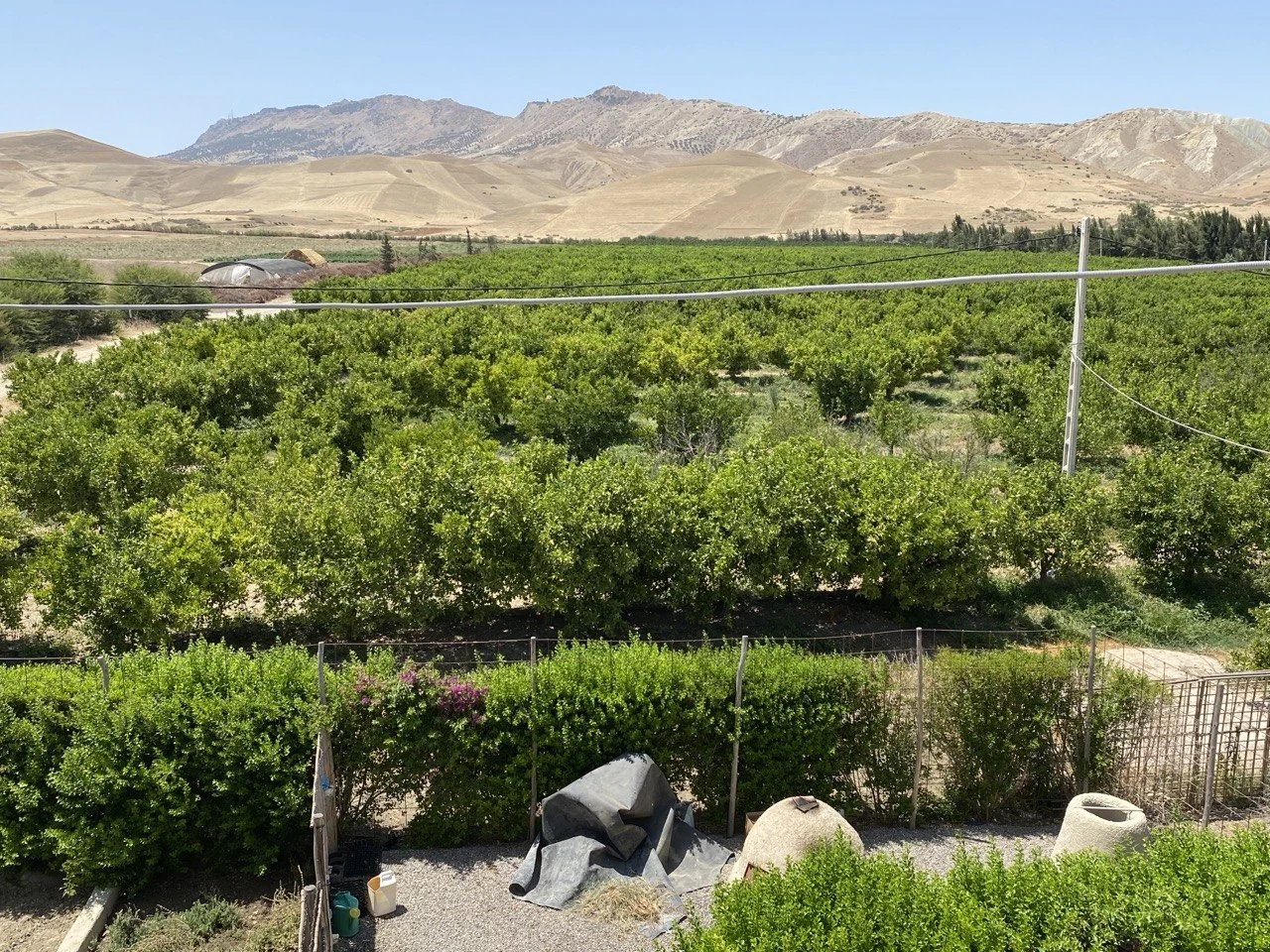 Chami Domaines and the Sebou valley